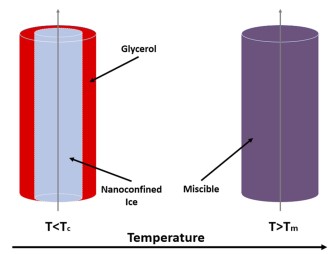 Modifications structurelles induites par la glace dans des m&eacute;langes eau-glyc&eacute;rol confin&eacute;s &agrave; l&rsquo;&eacute;chelle nanom&eacute;trique