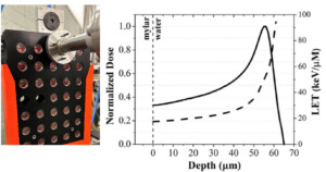 Radioth&eacute;rapie FLASH&nbsp;: explorer des d&eacute;bits de dose extr&ecirc;mes pour am&eacute;liorer le potentiel th&eacute;rapeutique