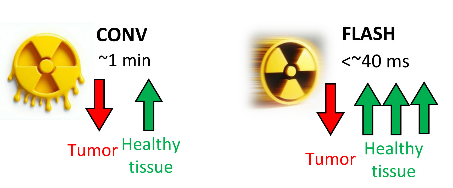 Flash Radiotherapy Animation FLASH radiotherapy: probing ultra-high dose rates to improve ...