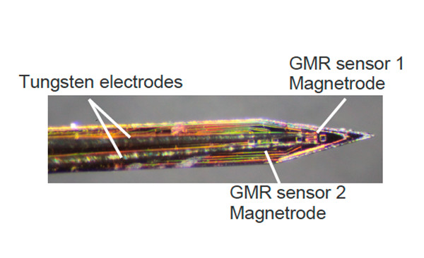 Premi&egrave;re d&eacute;monstration in vivo de la signature magn&eacute;tique d&rsquo;un neurone unique