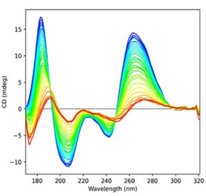 RNAs Associated With Bacterial Outer Membrane Vesicles: Structural Insights Into Surface Composition