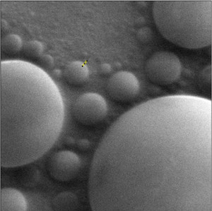 Vers une nouvelle g&eacute;n&eacute;ration de sources d&rsquo;ions &agrave; sels fondus