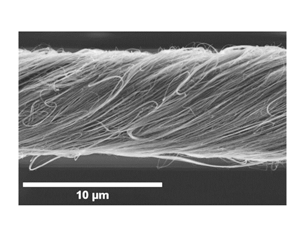 Des muscles artificiels à base de nanotubes de carbone pour les textiles électro-actifs