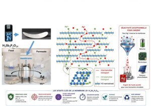 Des nanofeuillets 2D chargés ouvrent de nouvelles perspectives pour la séparation sélective des métaux