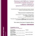 New NMR tools for the analysis of two-phase liquid samples: molecular migration and parahydrogen hyperpolarisation