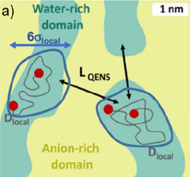 Structural dynamics drive mobility in water-in-salt electrolytes