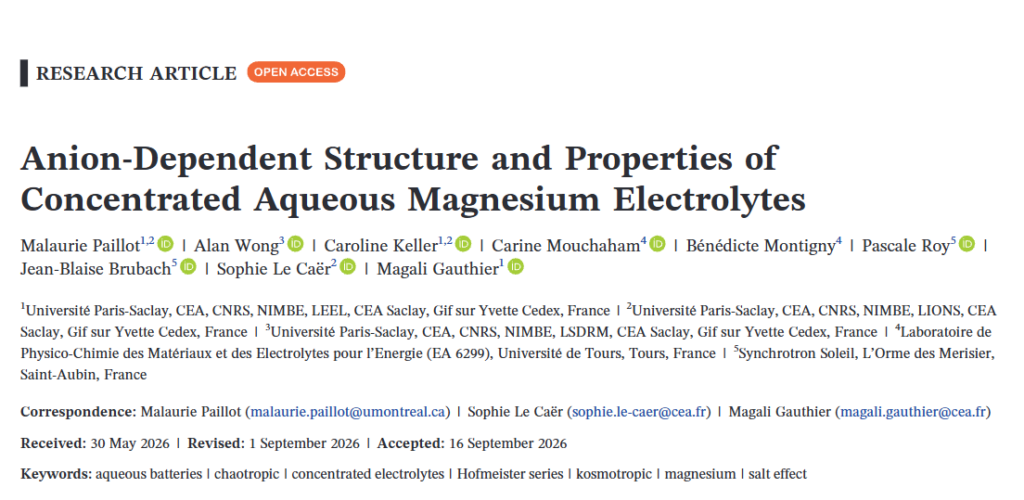 Anion-Dependent Structure and Properties of Concentrated Aqueous Magnesium Electrolytes